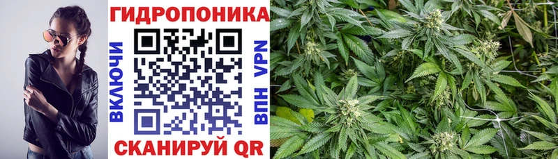 Бошки Шишки марихуана Анапа